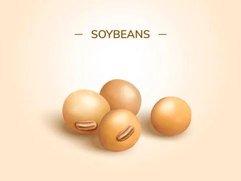 Soybeans design element Stock Illustration