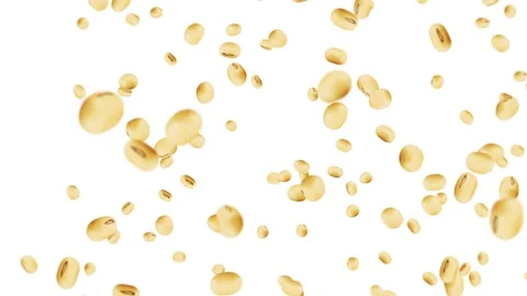 Soybeans Falling in Slow Motion on White Background – Healthy Food Video stock 332712087