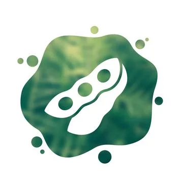 Soybeans icon, soy beans vector Illustrazione stock