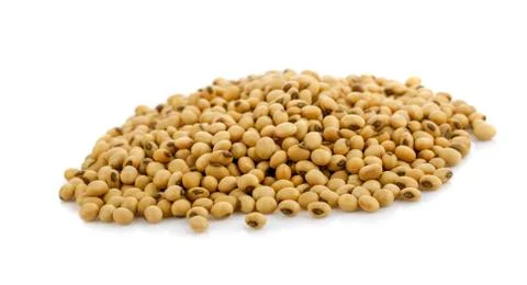Soybeans isolate on white background. Stock Photos