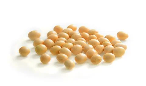Soybeans isolate on white background Stock Photos