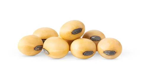 Soybeans isolated on white background Stock Photos