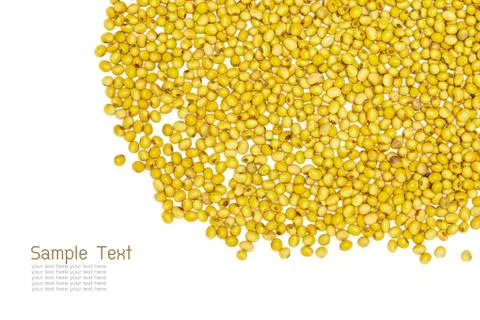 Soybeans Stock Photos