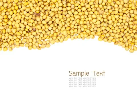 Soybeans Stock Photos