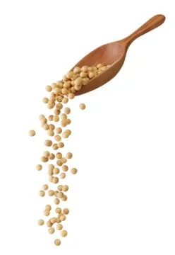 Soybeans Stock Photos