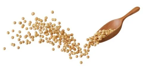 Soybeans splash Stock Photos