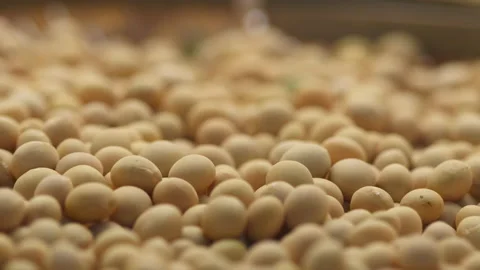 Soybeans on weave wicker basket Vidéo 162609132