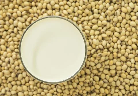 Soymilk Stock Photos