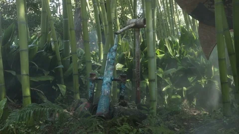 Sozu 動画素材 108582732