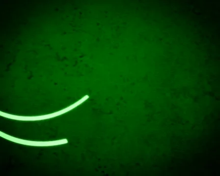 SP 001 库存影片 650271