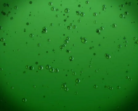 SP 004 Vidéo 653458