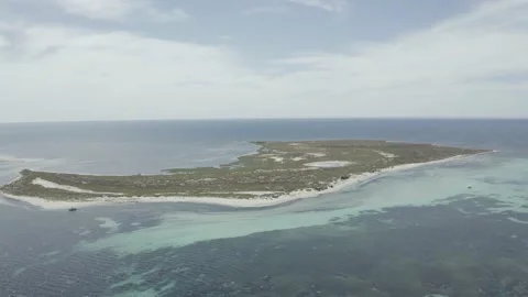 SP 0160 Drone Beach Push out DJI 0086 Stock Footage 169983604