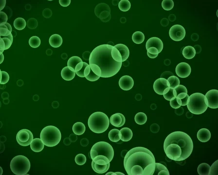 SP 017 Stock Footage 653494