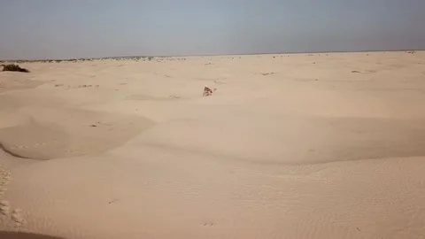 SP_0018_Drone_Desert_Arc_DJI_0079 Stock Footage 169771690