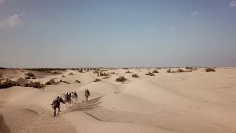 SP_0023_Drone_Desert_Fix_DJI_0077 Stock Footage 169772689