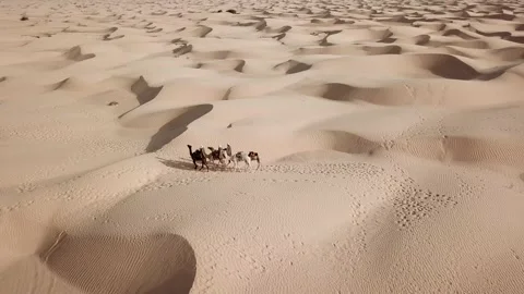 SP_0028_Drone_Desert_ARC_DJI_0084 Stock Footage 169773671