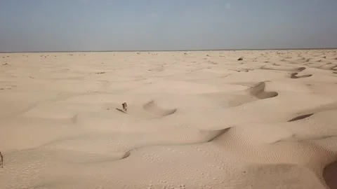 SP_0030_Drone_Desert_ARC_DJI_0084 Stock Footage 169773871