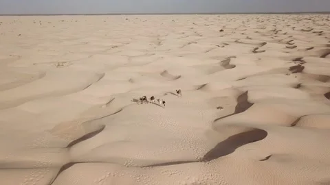 SP_0031_Drone_Desert_Fix_DJI_0082 Stock Footage 169774666