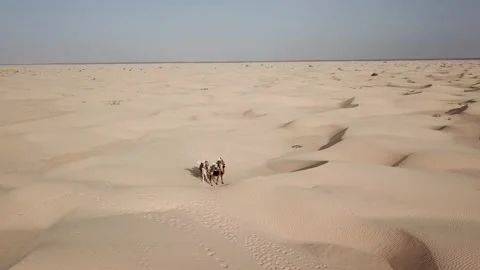 SP_0032_Drone_Desert_ARC_DJI_0083 Stock Footage 169774617