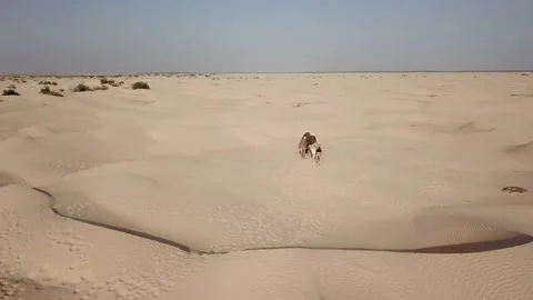 SP_0033_Drone_Desert_Push_in_DJI_0083 Stock Footage 169774115
