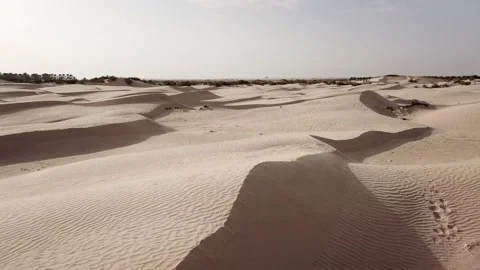 SP_0035_Drone_Desert_Push_in_DJI_0087 Stock Footage 169774459