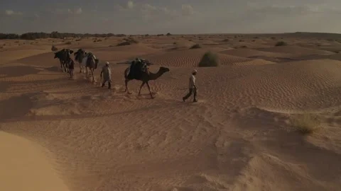 SP_0063_Drone_Desert_ARC_DJI_0119 Stock Footage 169829356