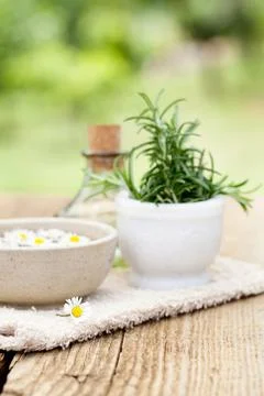 Spa and wellness setting  Stock Photos