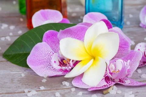 Spa and wellness setting Stock Photos