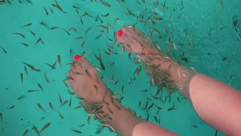 Spa attraction for tourists 스톡 동영상 157806245