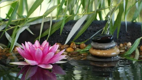 Spa background, balanced stones and pink lotus waterlily flower Video stock 137837895