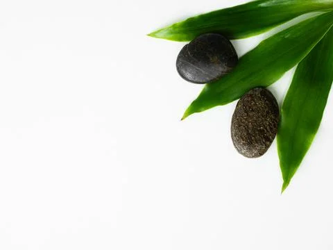 Spa background with green leaf on white floor wall, platform Stock Photos