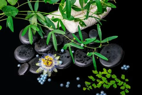 Spa background of passiflora flower, branches, towels, zen basalt stones with Stock Photos