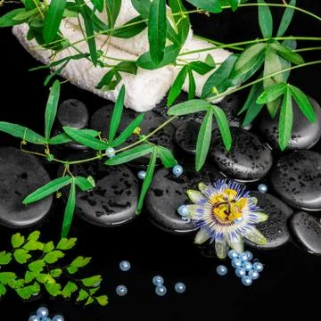 Spa background of passiflora flower, branches, towels, zen basalt stones with Stock Photos