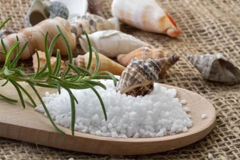Spa background with sea salt, shells and rosemary Stock Photos