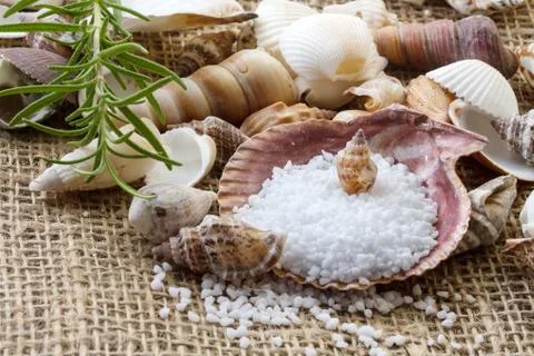 Spa background with sea salt, shells and rosemary Stock Photos