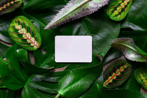 Spa background with a space for a text Foto stock