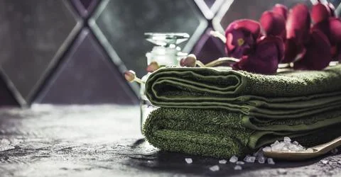 Spa composition, space for text. Natural cosmetics and wellness concept. Stock Photos