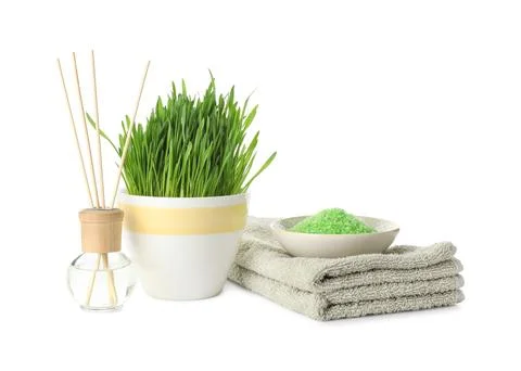 Spa composition with wheatgrass isolated on white Stock Photos