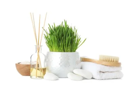 Spa composition with wheatgrass isolated on white Stock Photos