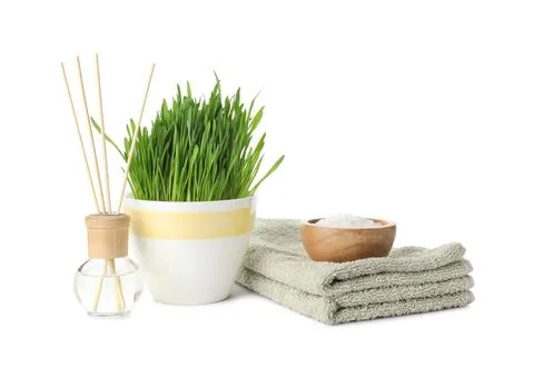 Spa composition with wheatgrass isolated on white Stock Photos