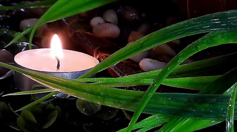 Spa concept with different views Stock Footage 36680480