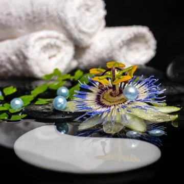 Spa concept of passiflora flower, branches, towels, zen basalt stones, symbol Foto stock