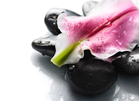 Spa concept Fotos de archivo