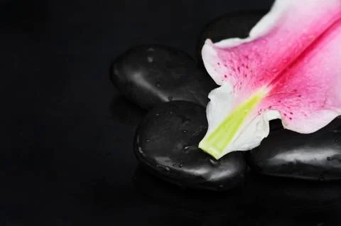 Spa concept Fotos de archivo