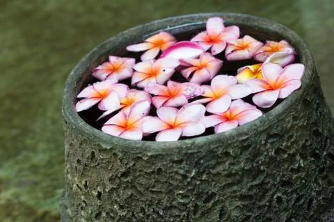 Spa concept Stock Photos