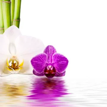 Spa concept Stock Photos