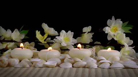 Spa Concept with Seashells and Flowers Stock Footage 59746753