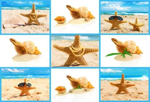 Spa concept with seashells, set Stock Photos