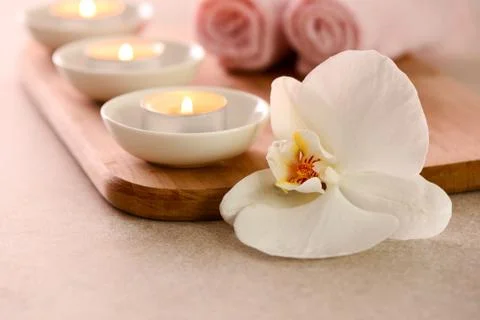 Spa concept with a space for a text Stock Photos