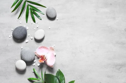 Spa concept on stone background, palm leaves, flower, zen, grey stones, top v Stock Photos